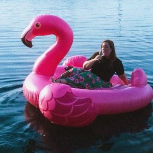 Meet your Posher, Julie